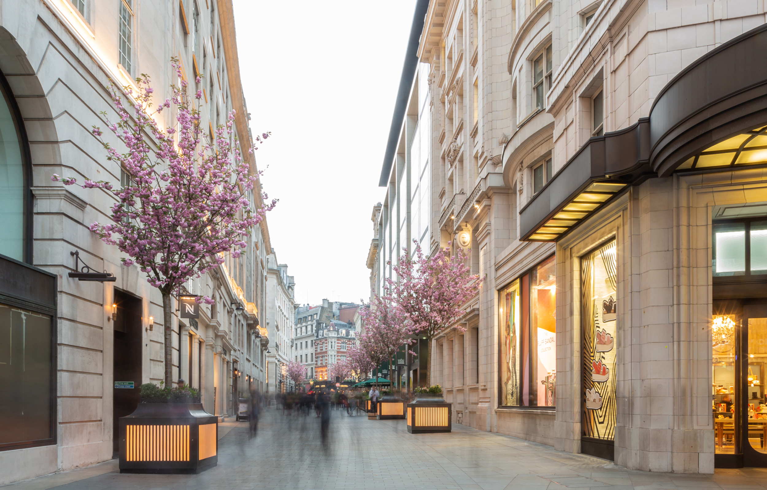 Illuminated Tree Planters - The Crown Estate (Photography by Kevin Ricks at SNC Lavalin Atkins)